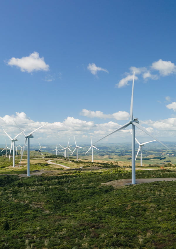 Mercury Turitea Wind Farm