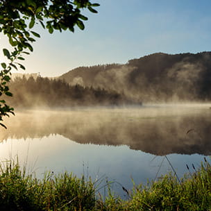 Waikato River IWI 304x304