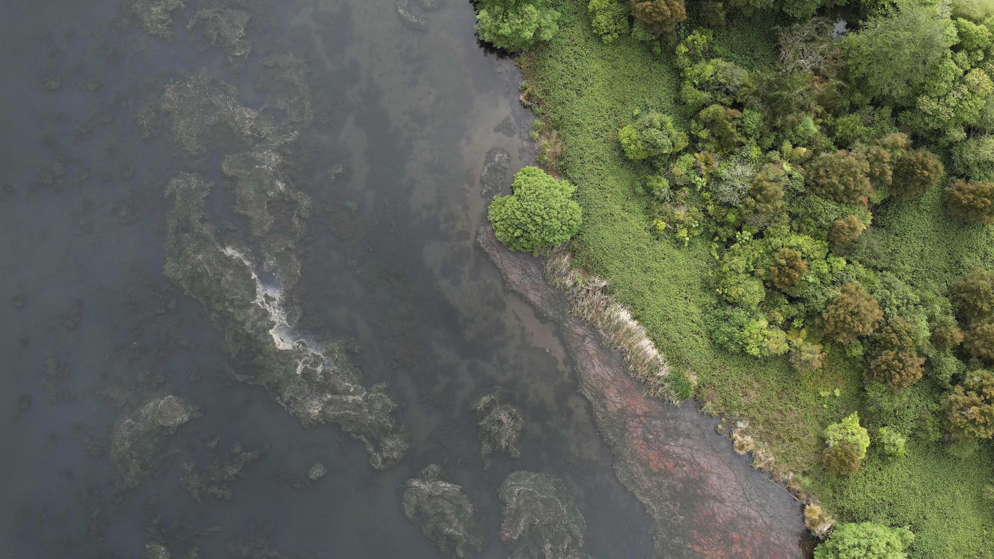 Arial photo of Hornwart near the shore of Lake Whakamaru