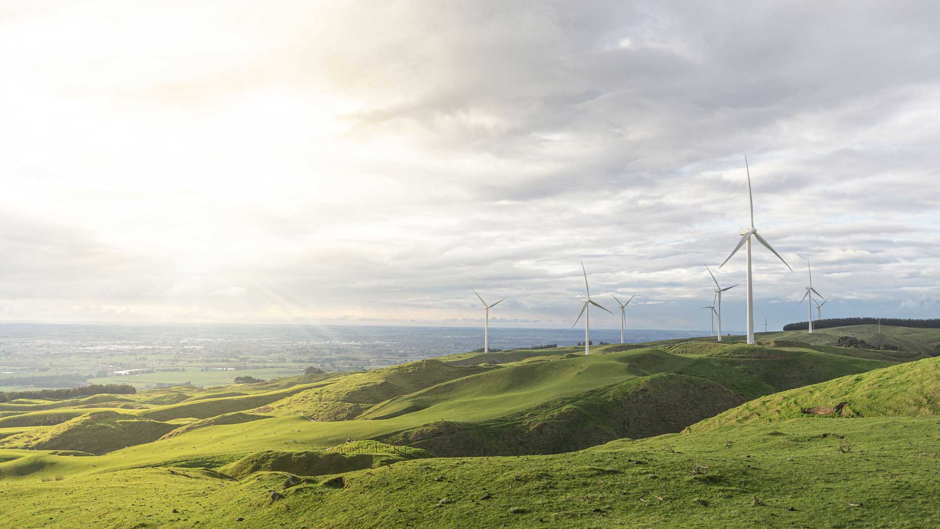 Wind turbines at Mercury's Tararua Wind Farm