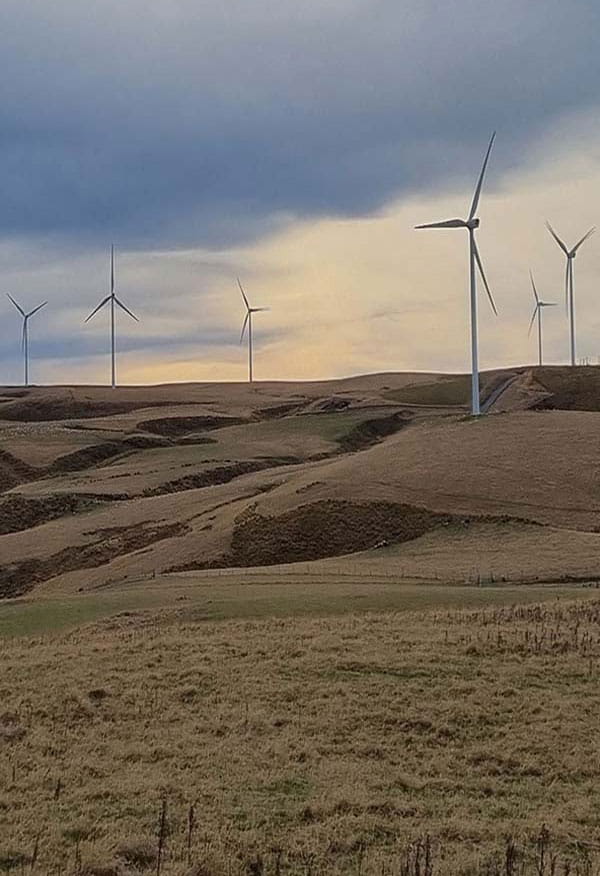 Wind turbines at Mercury's Tararua Wind Farm