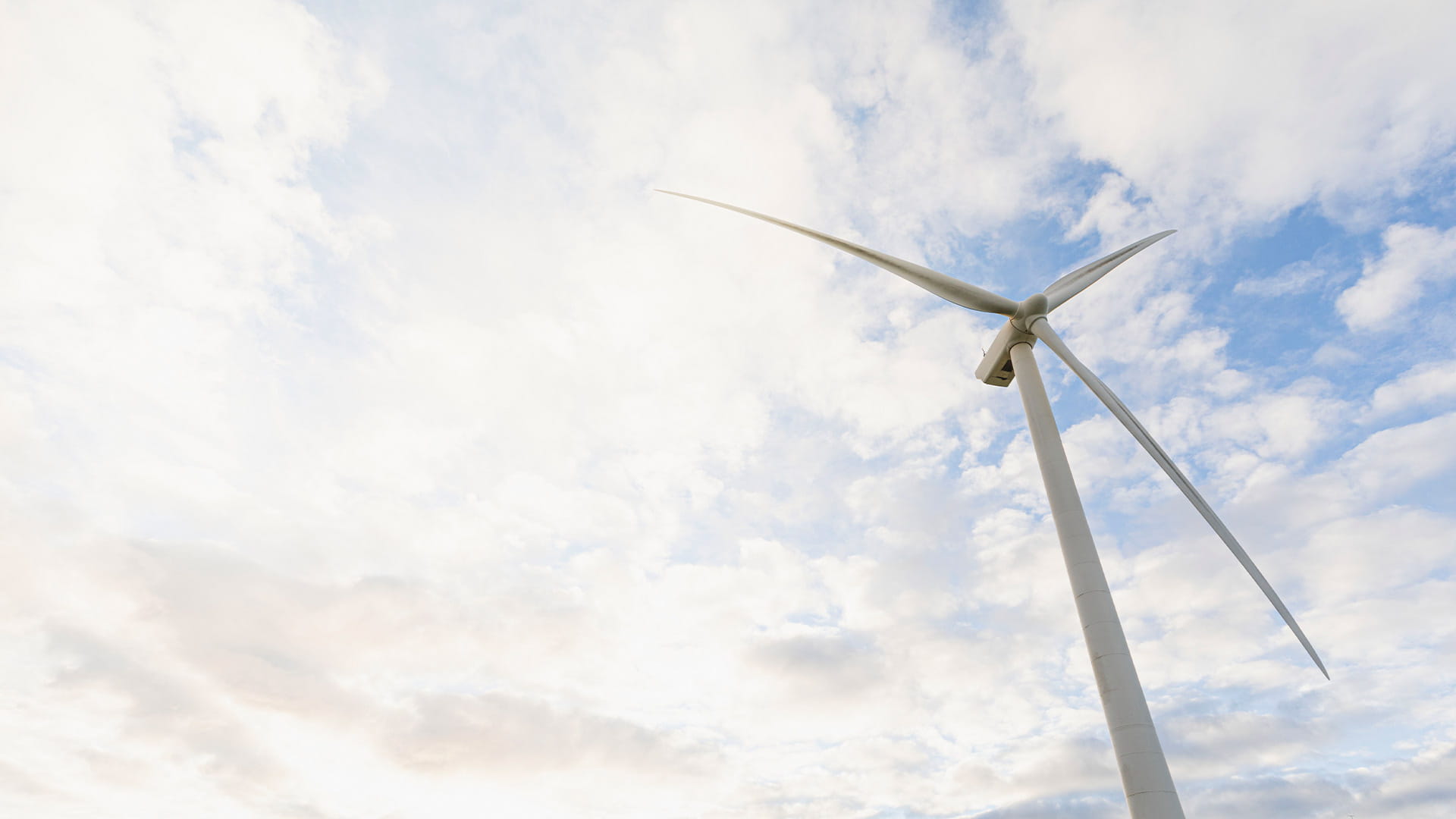 Wind Turbine at Mercury Wind Farm