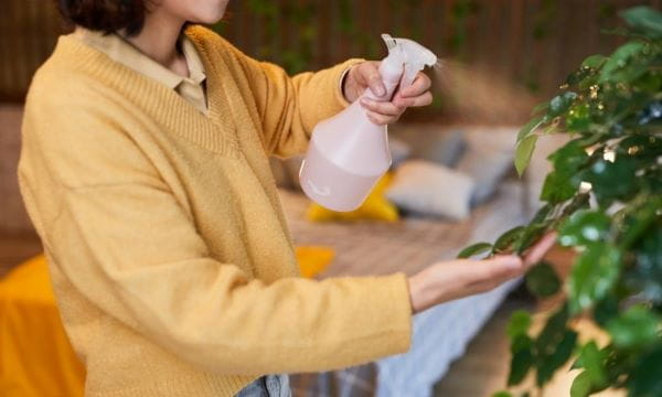 Simple steps to make moving house more sustainable