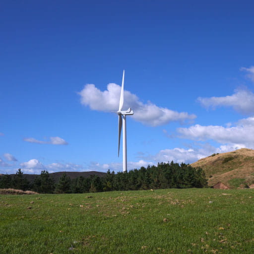 Turitea Wind Farm