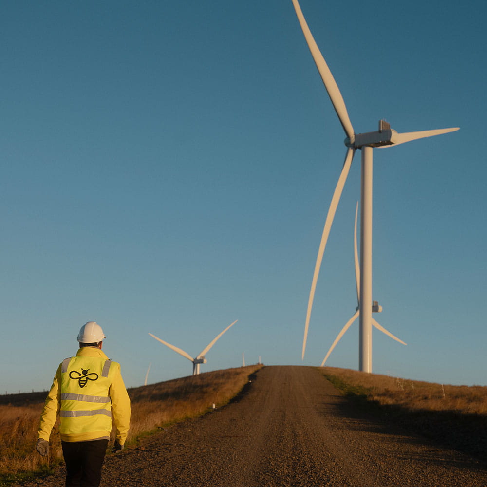 Mercury employee walking towards the wind turbines.